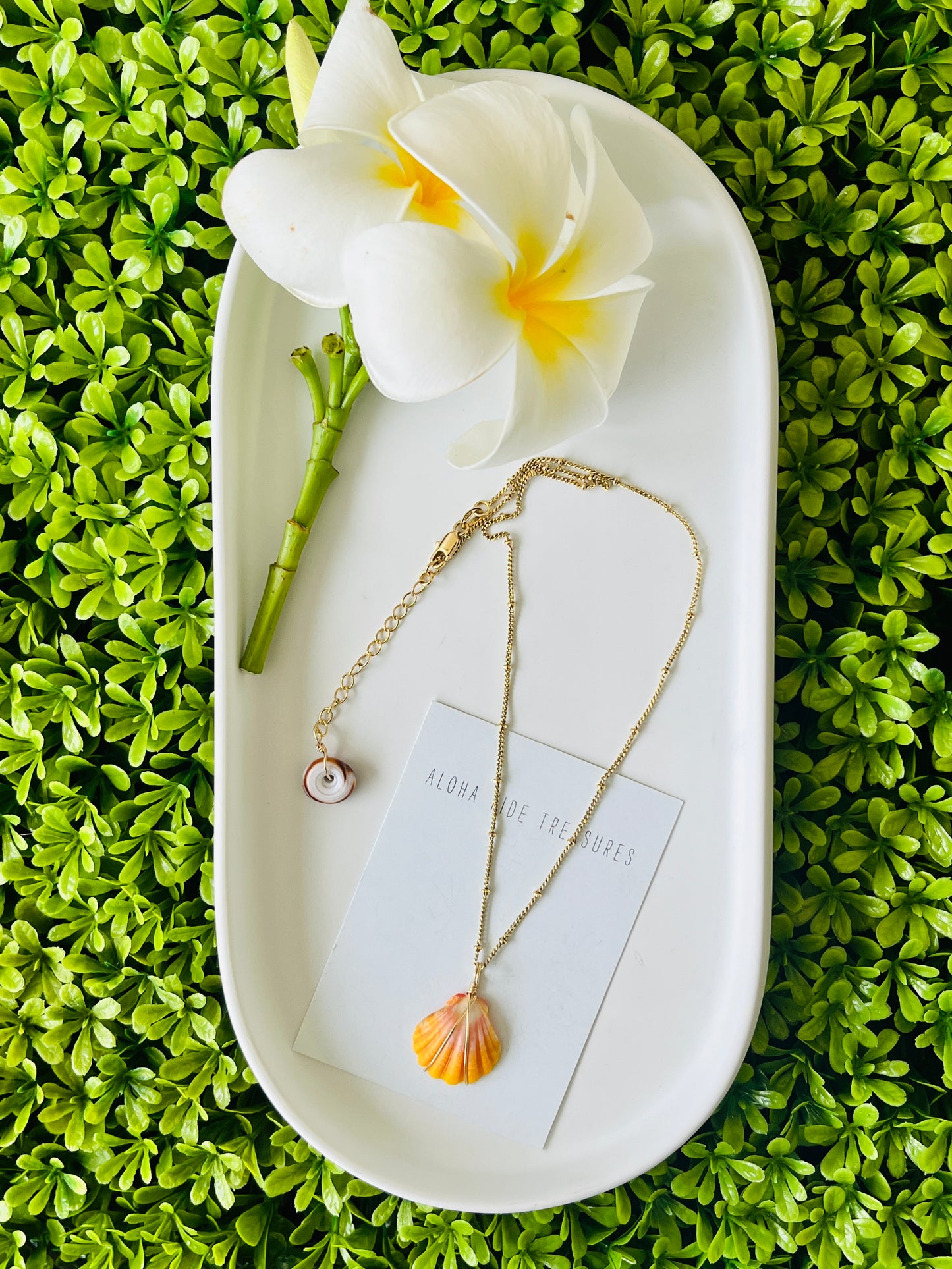14K GF Sunrise Shell Necklace 16”