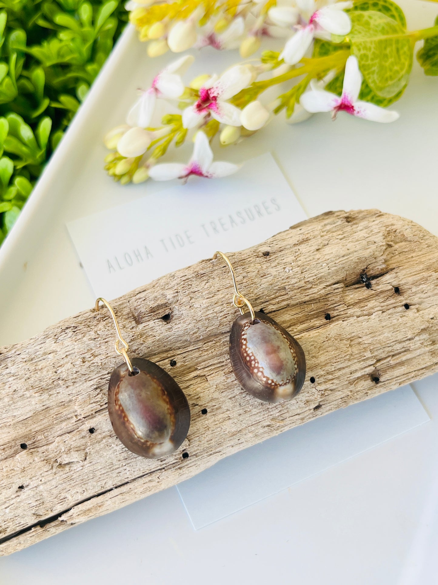 14K GF Cowrie Shell Earrings