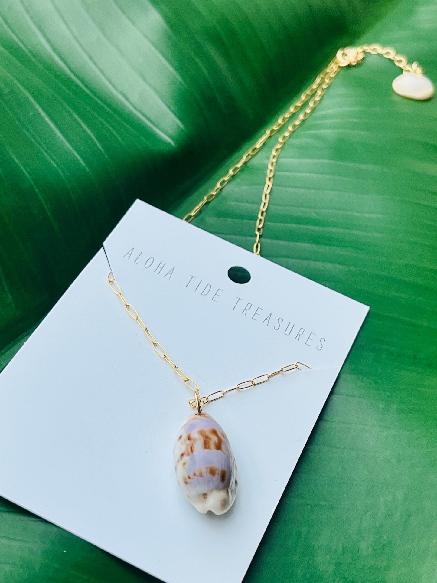 14K GF Cowrie Shell Necklace on 18"