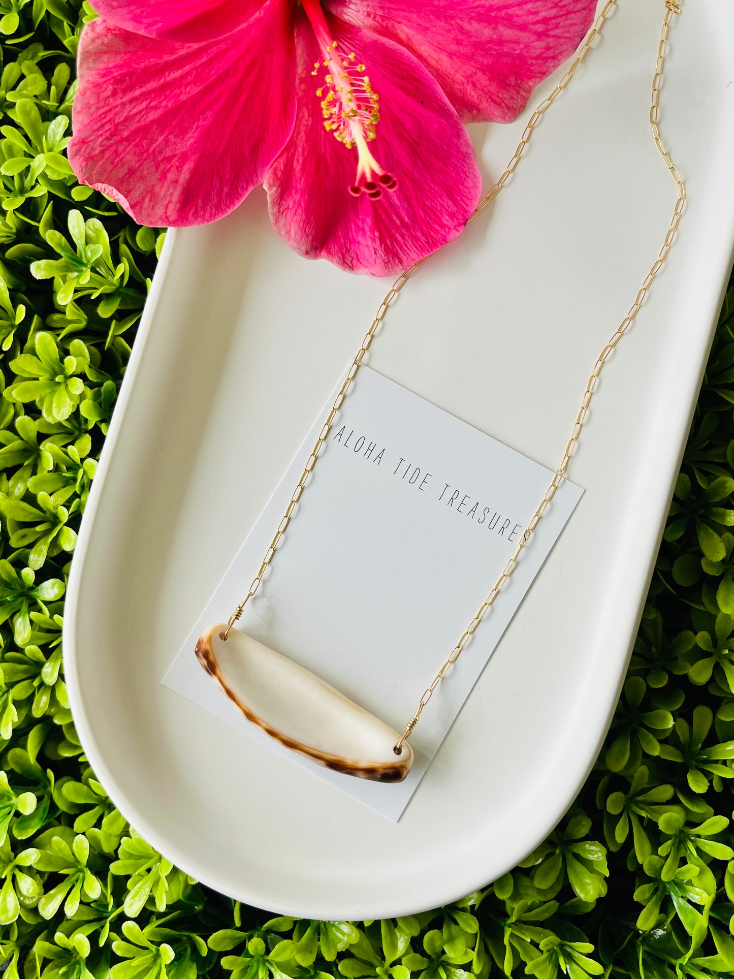 14K GF Cowrie Claw Bar Necklace 18”