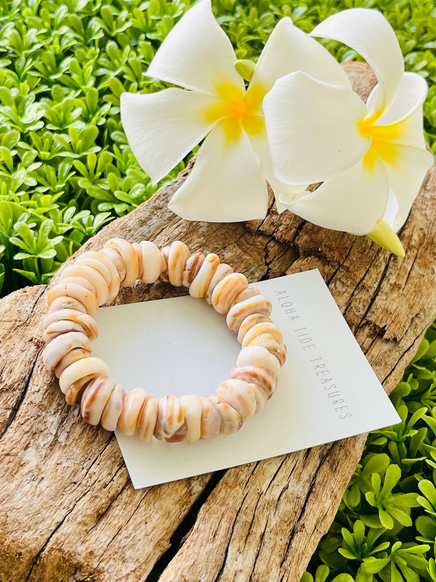 Puka Shell Bracelet Small