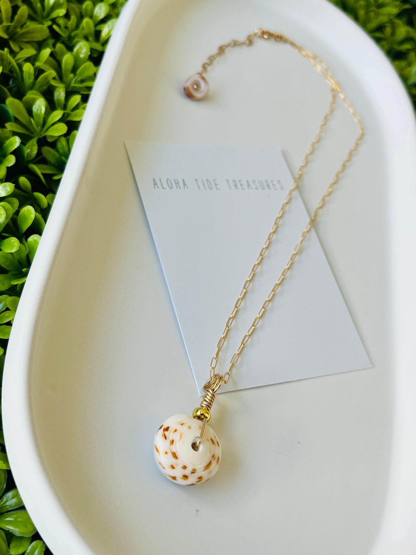 14K GF Puka Shell Necklace 16”