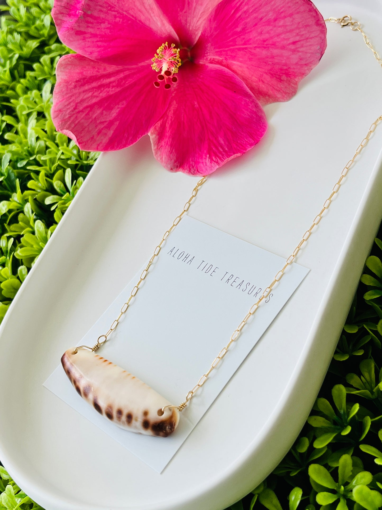 14K GF Cowrie Claw Bar Necklace 18”