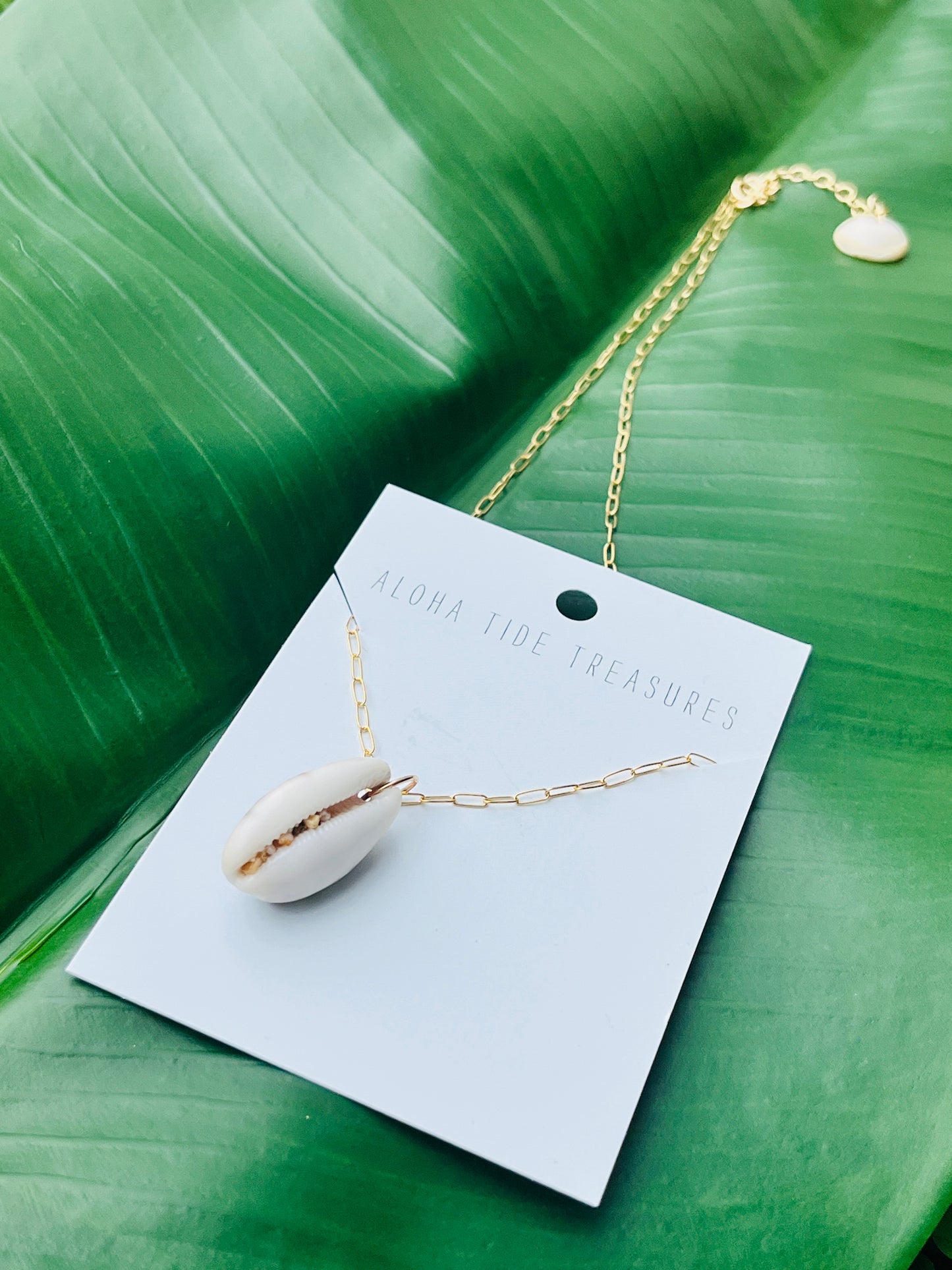 14K GF Cowrie Shell Necklace on 18"