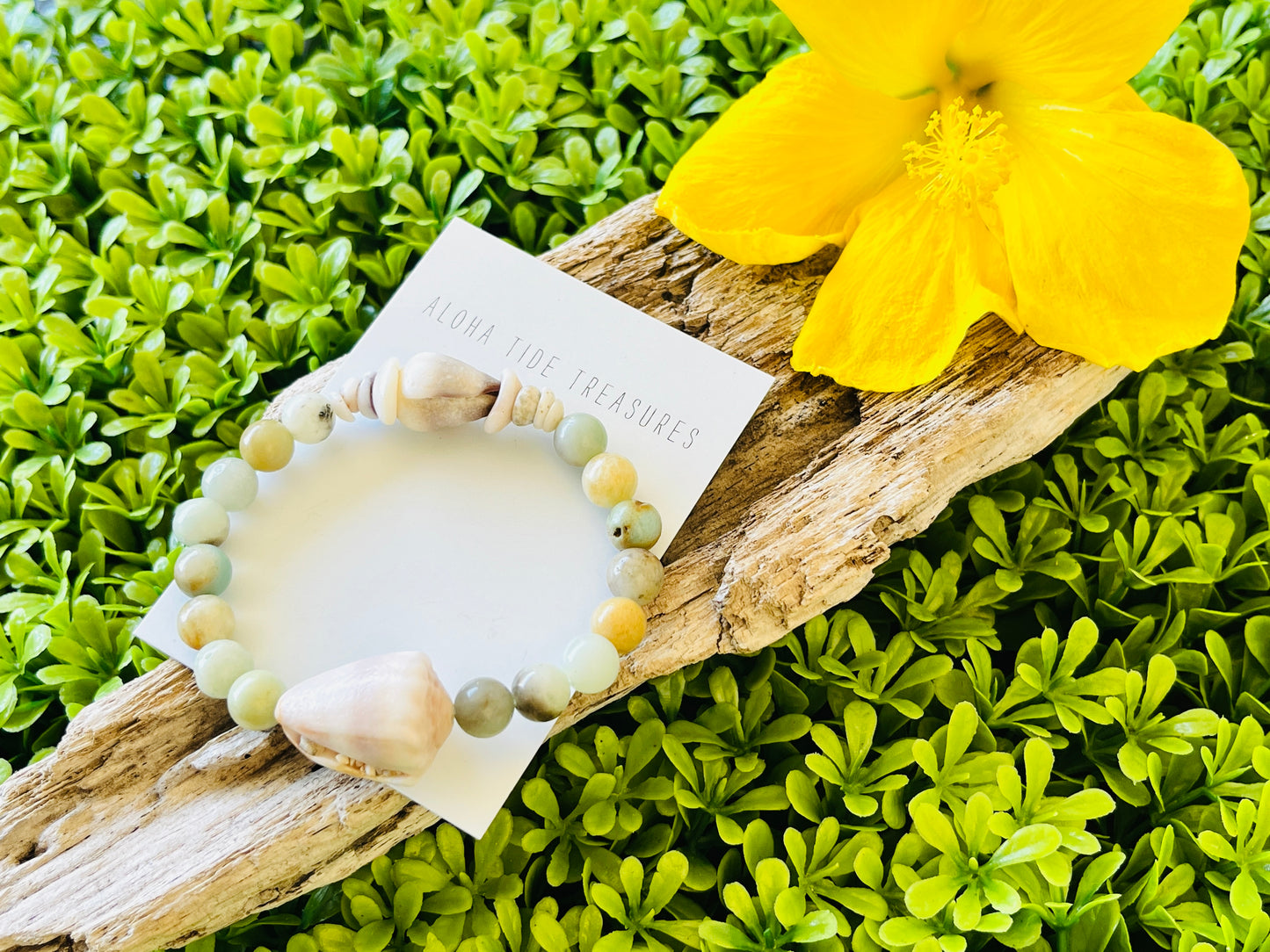 Natural Shell Bracelet
