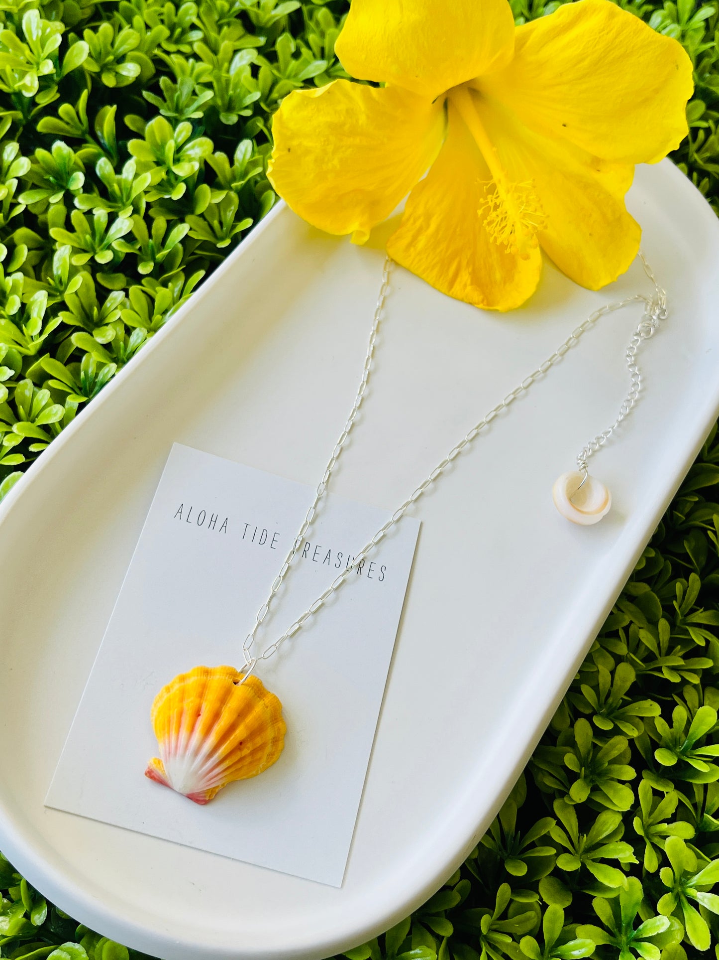 Sterling SIlver Sunrise Shell Necklace 18”