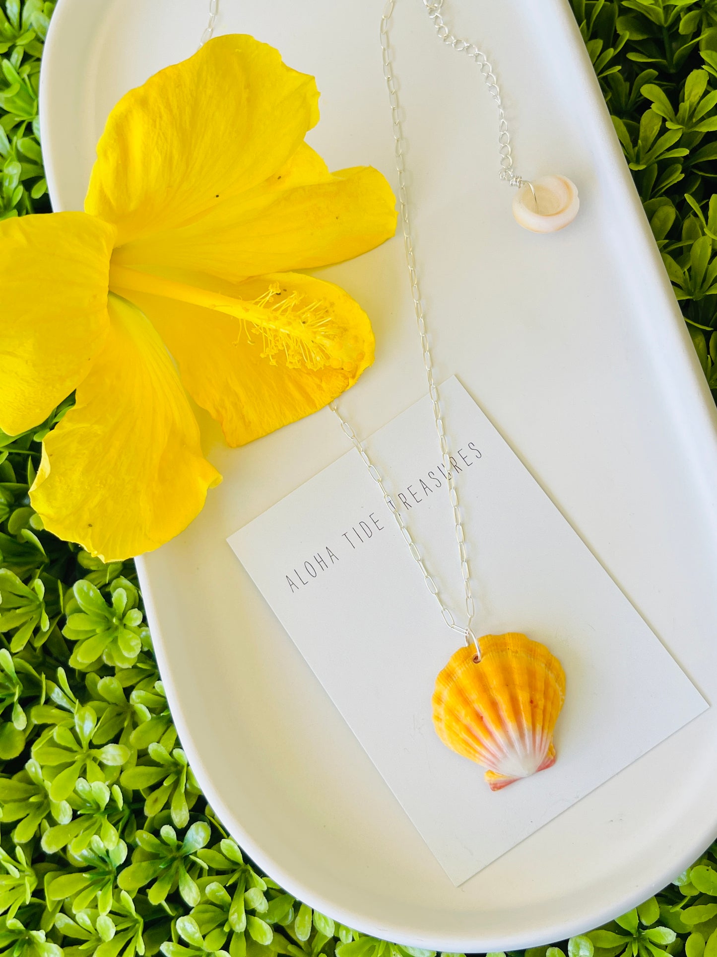 Sterling SIlver Sunrise Shell Necklace 18”