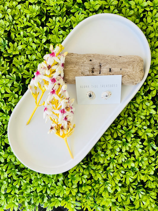 Sterling Silver White ‘Opihi Shell Earring Studs