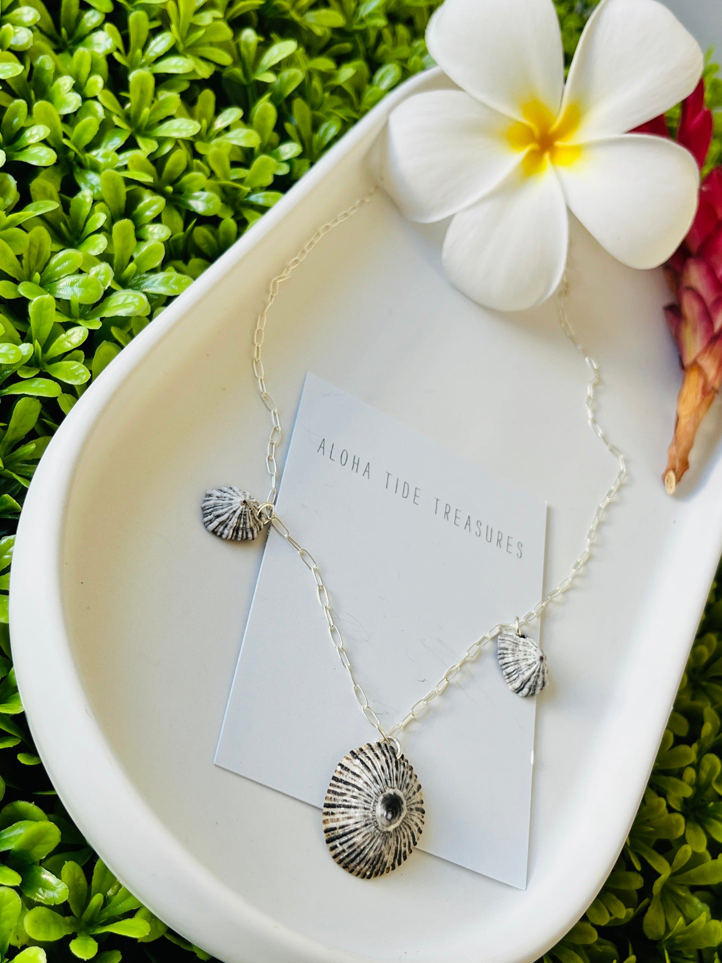 Sterling SIlver ‘Opihi Necklace 18”