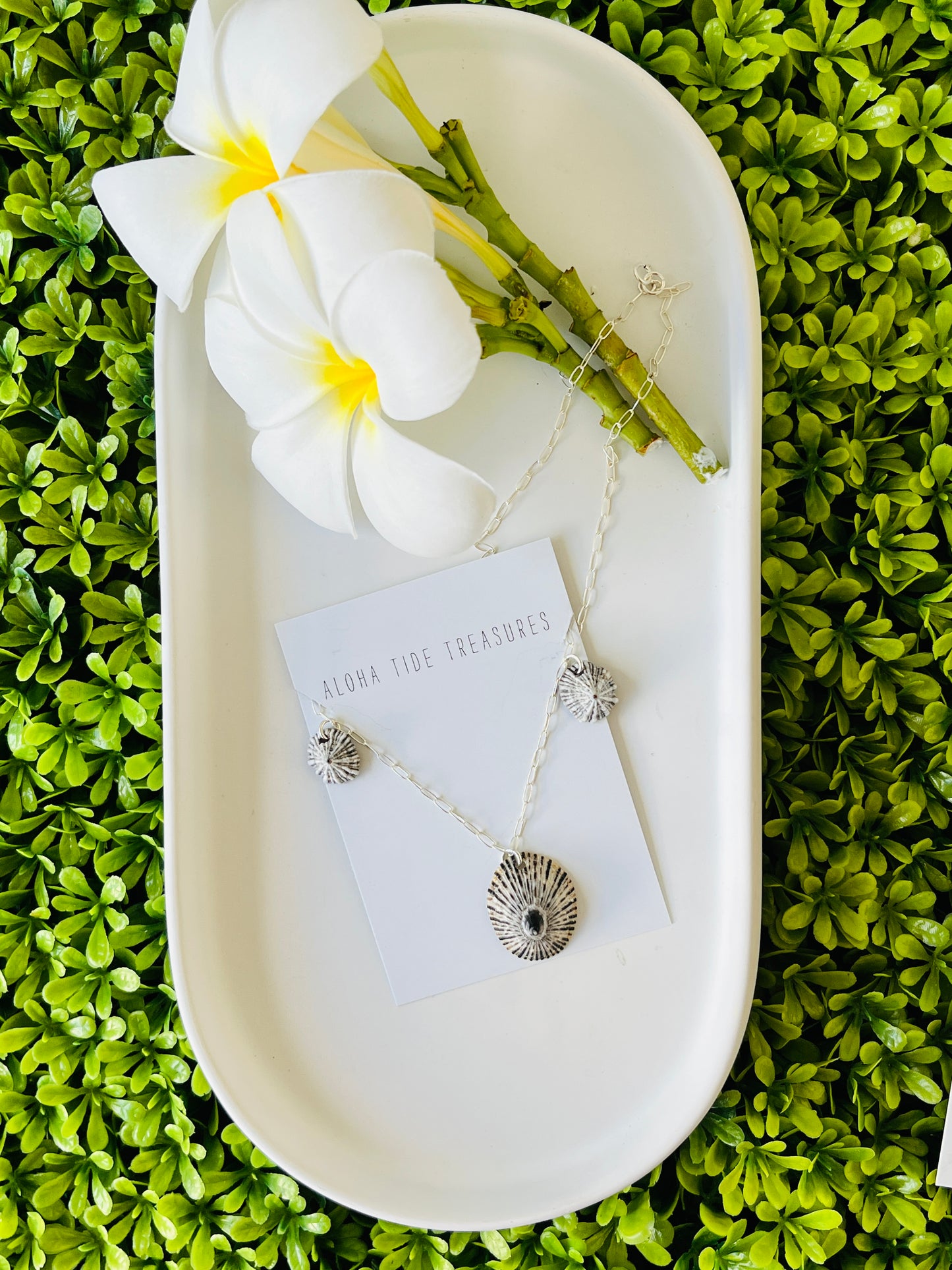Sterling SIlver ‘Opihi Necklace 18”