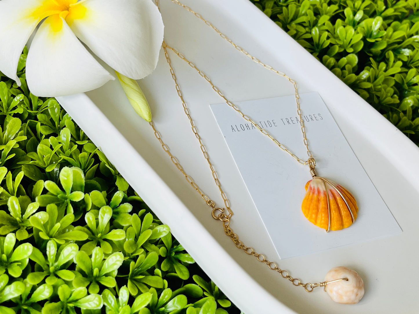14K GF Sunrise Shell  Necklace 22”