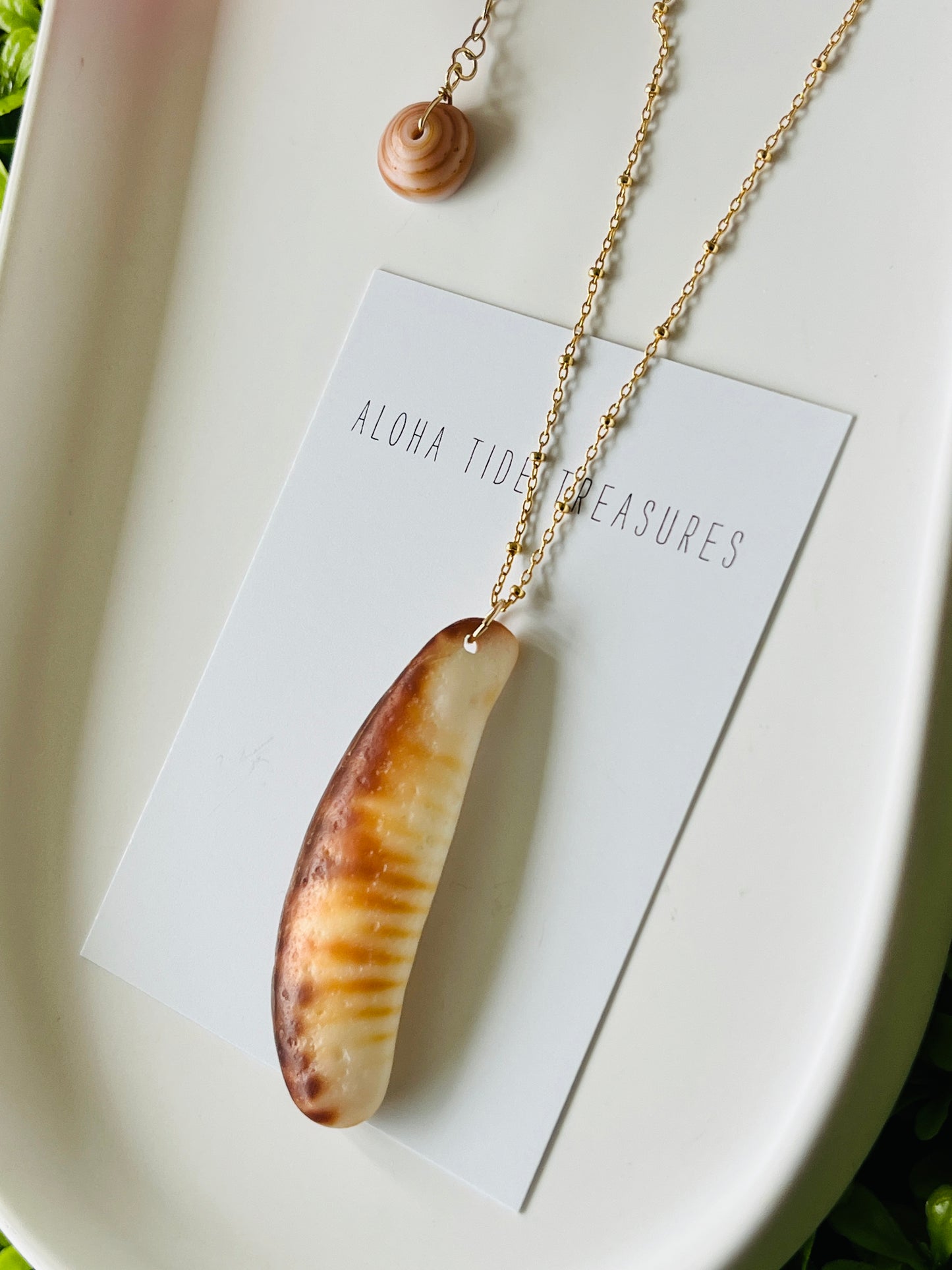 14K GF Cowrie Claw Pendant Necklace 16”