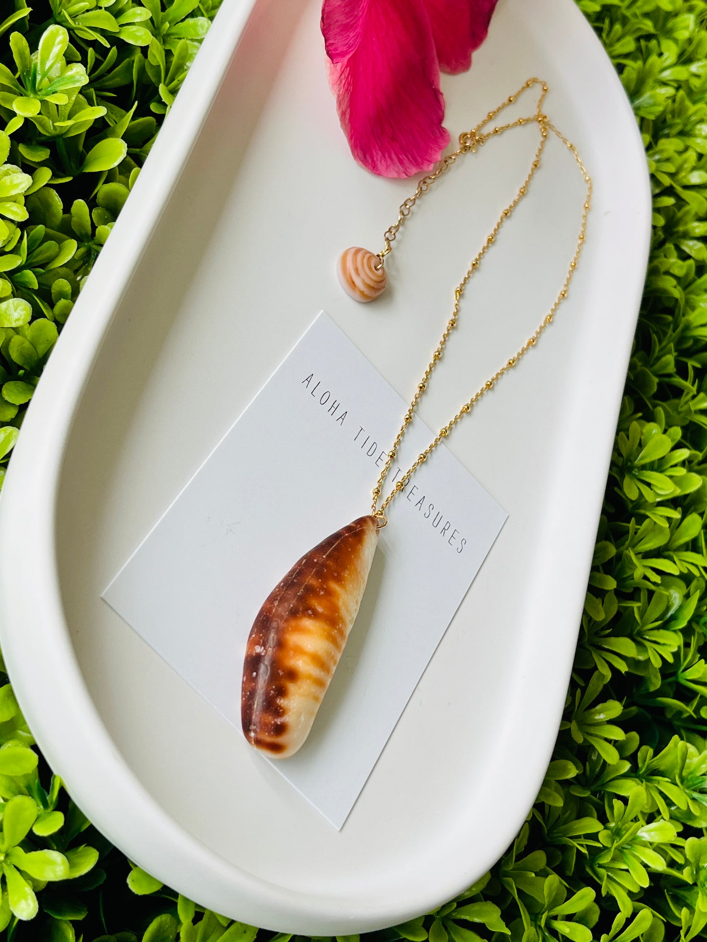 14K GF Cowrie Claw Pendant Necklace 16”