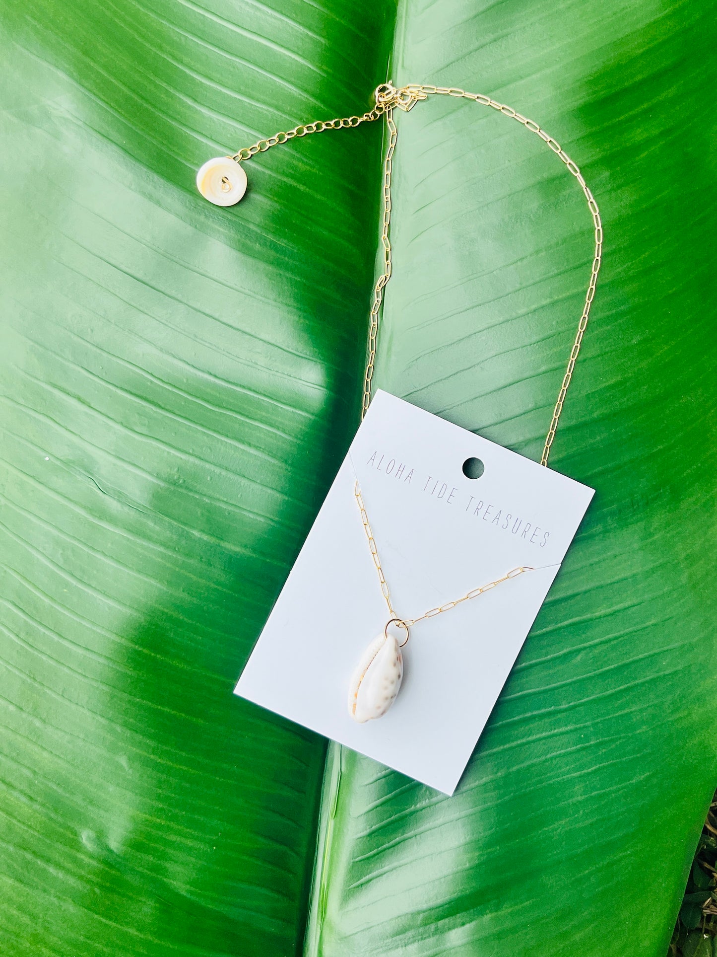 14K GF Cowrie Shell Necklace on 18"
