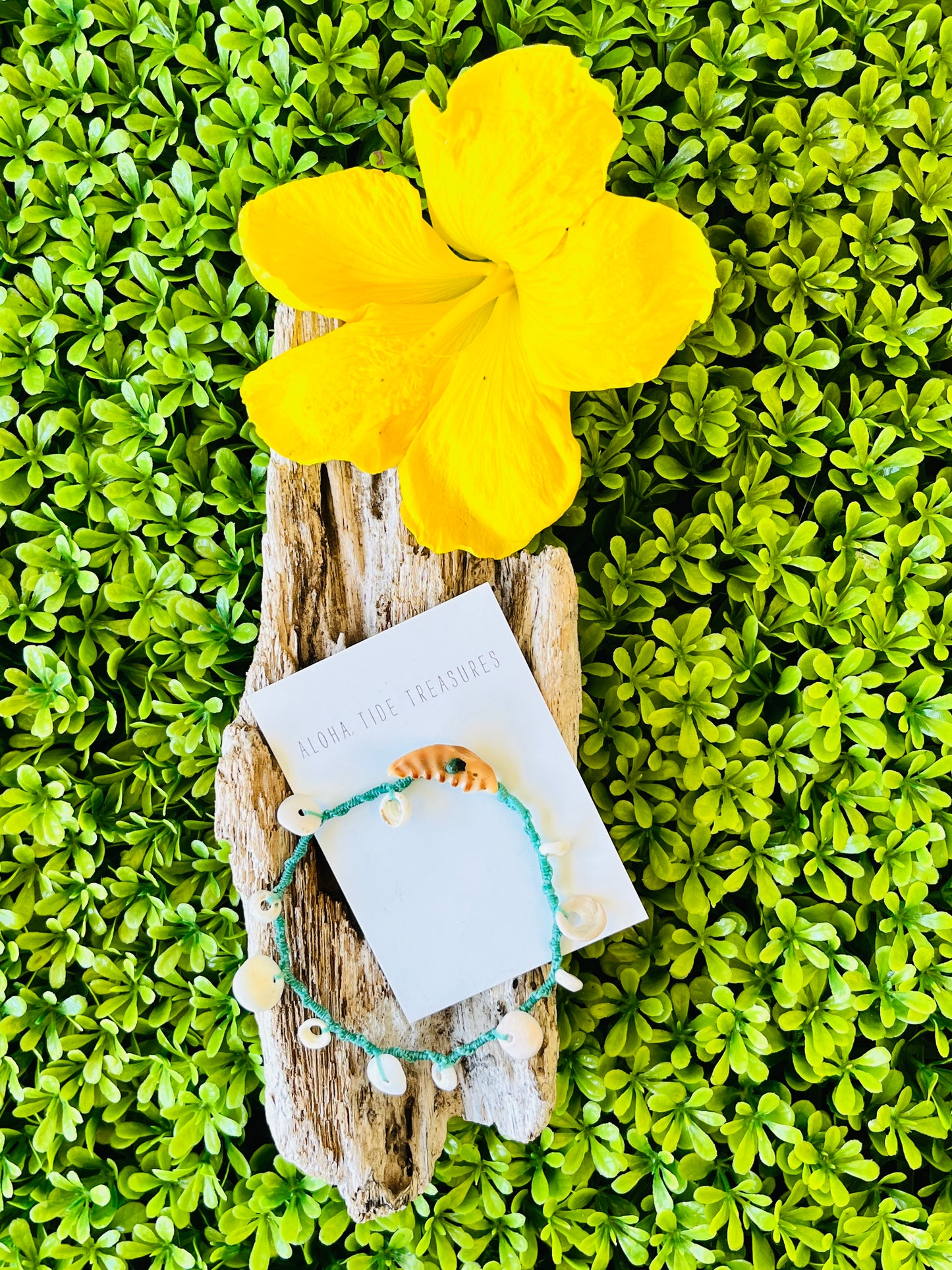 Hawaiian Shell Anklet 8”