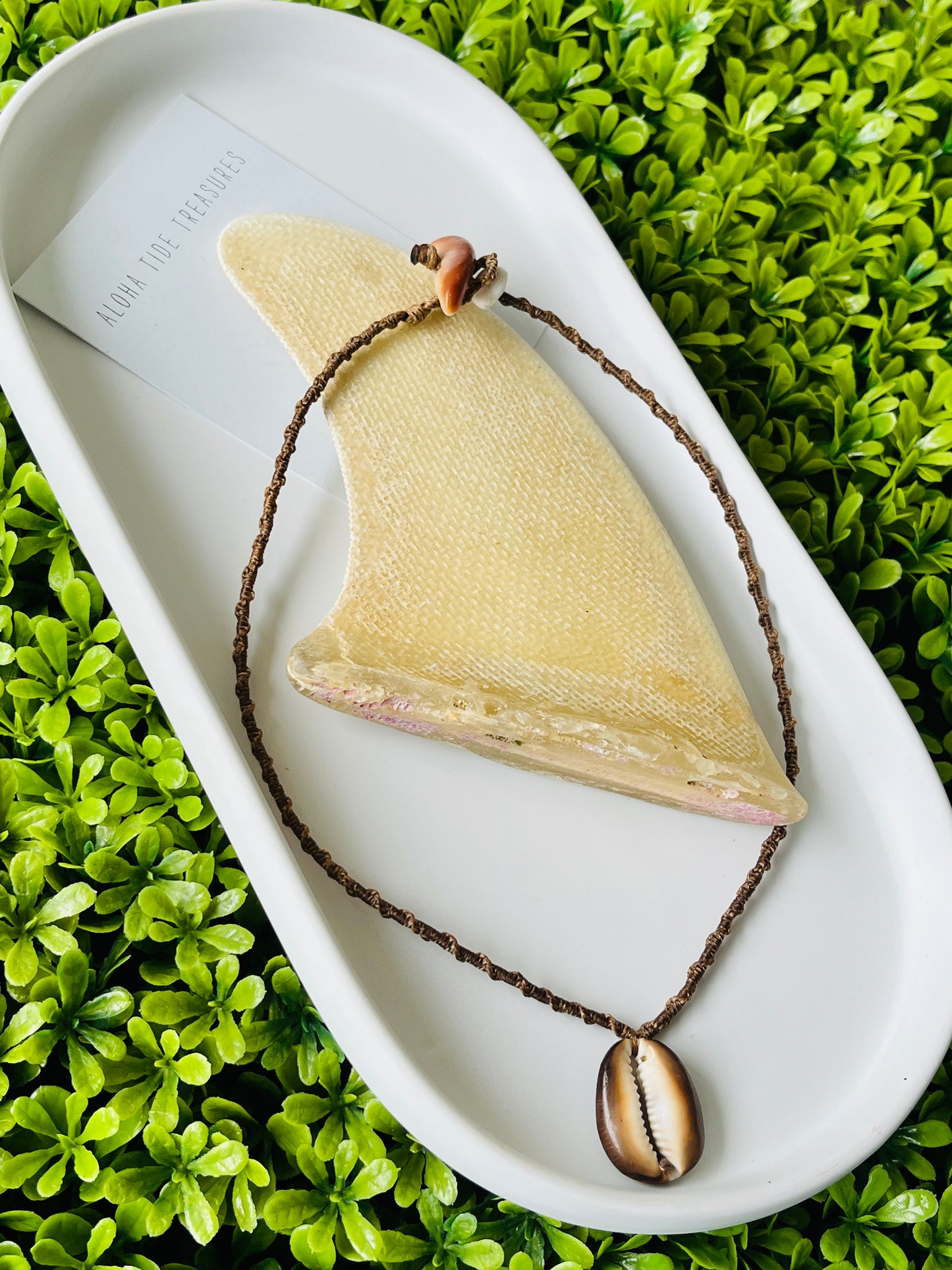Cowrie Surfer Necklace 15”
