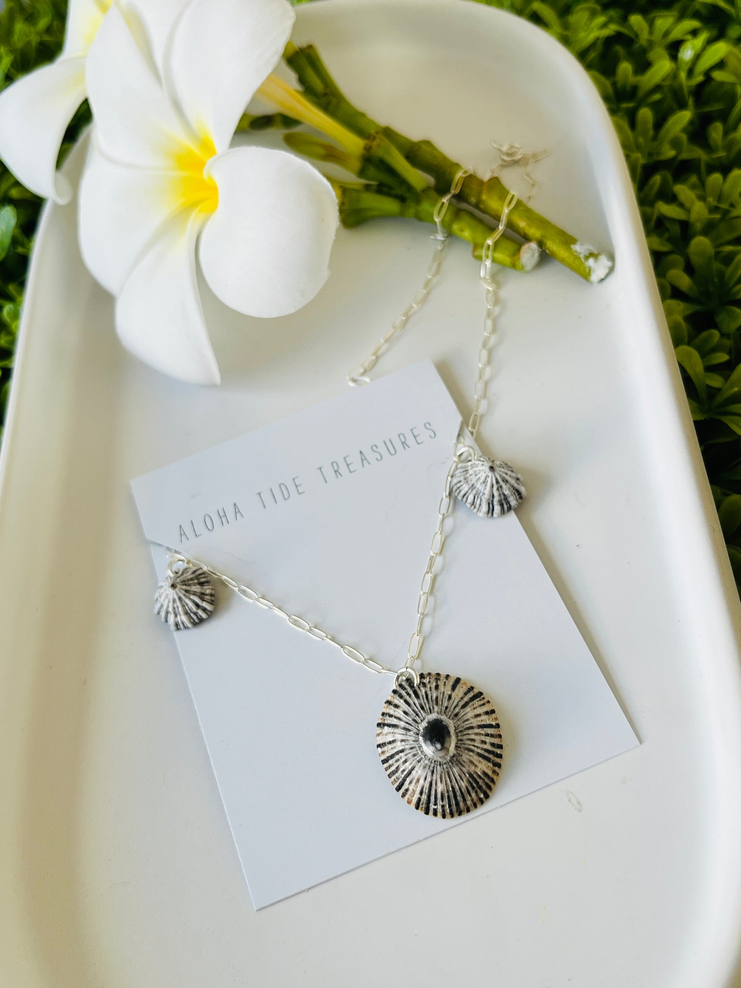 Sterling SIlver ‘Opihi Necklace 18”