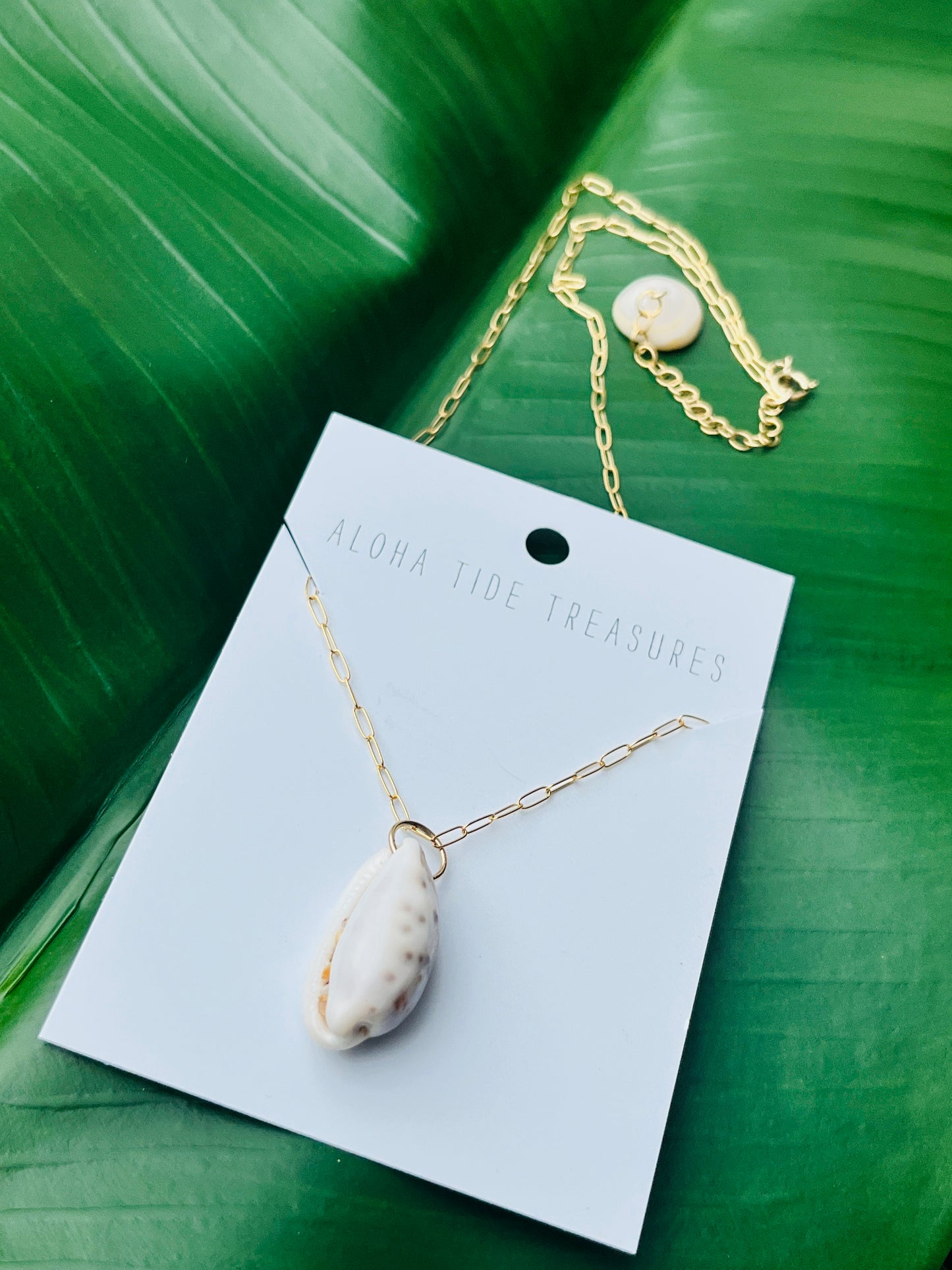 14K GF Cowrie Shell Necklace on 18"