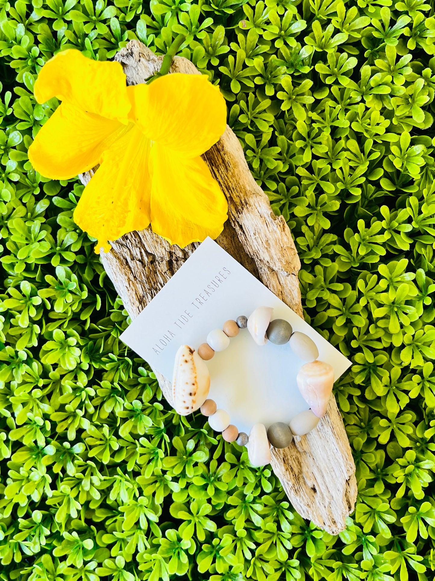 Natural Shell Bracelet