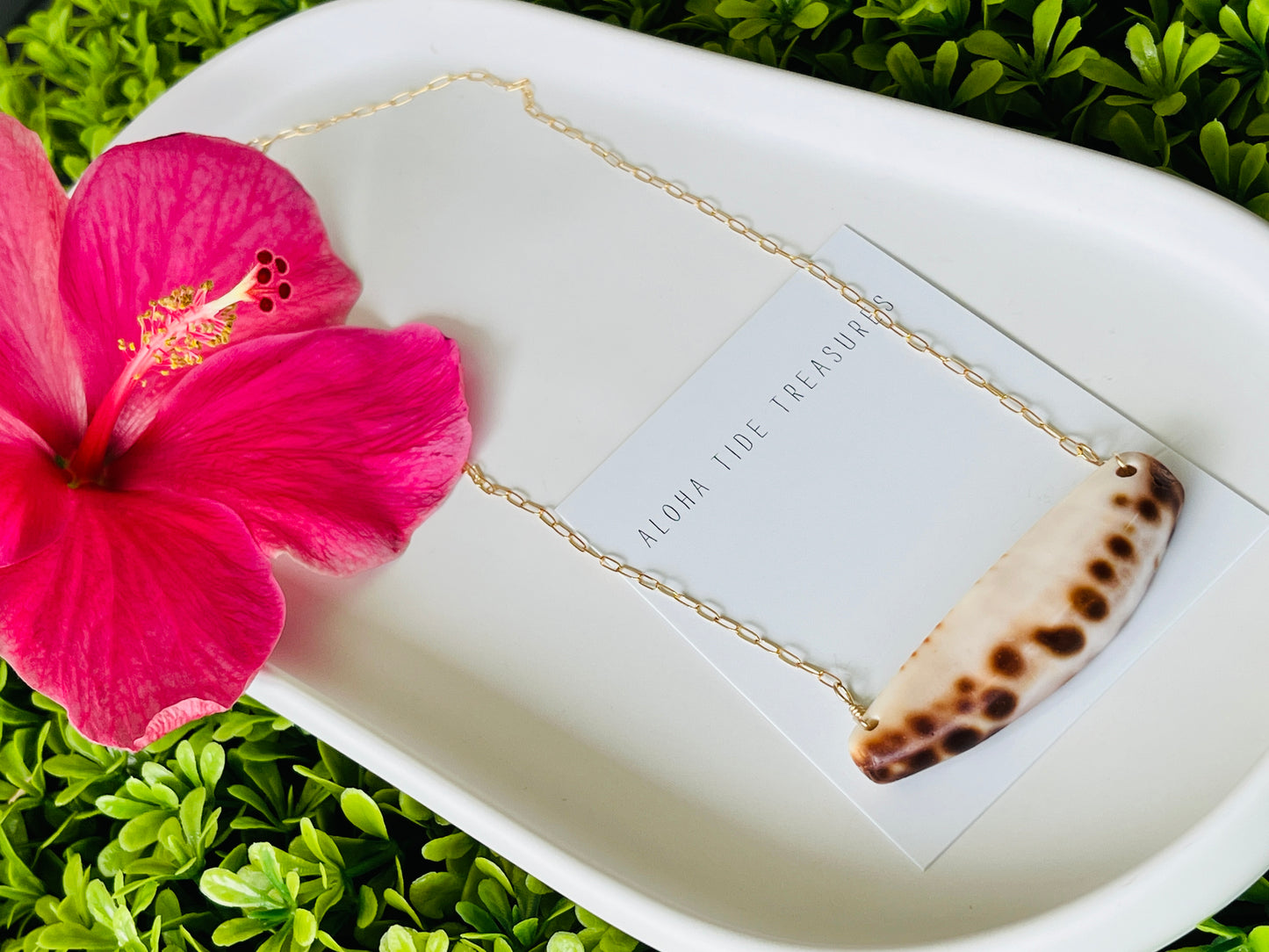 14K GF Cowrie Claw Bar Necklace 18”