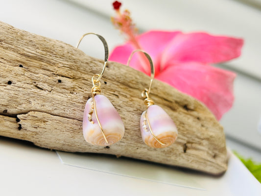 14K GF Cone Shell Earrings