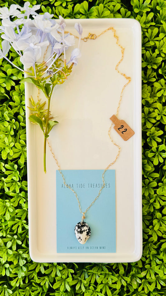 14K GF Nerite Shell Necklace 22”