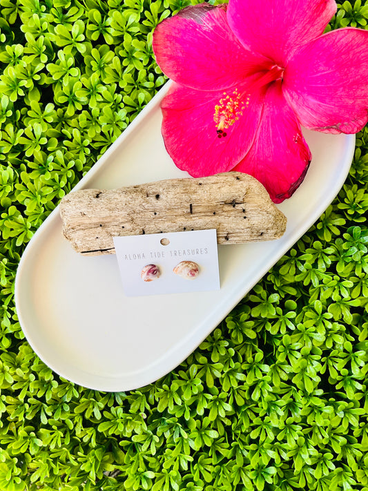 Sterling Silver Pink Barnacle Shell Earring Studs