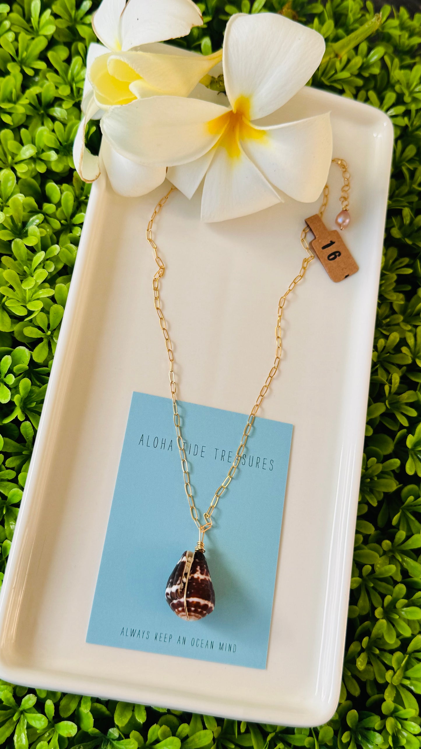 14K GF Chaldean Cone Shell Necklace 16”