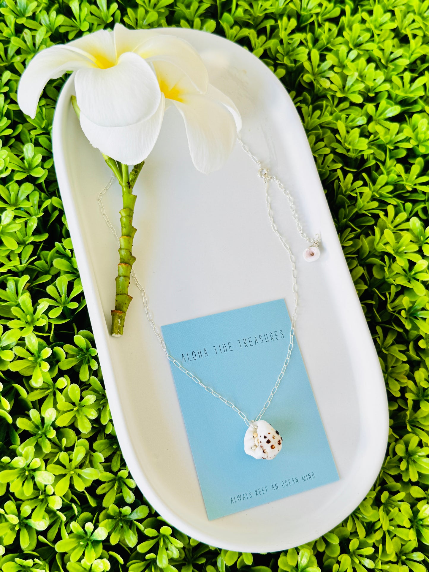 Sterling Silver Drupe Shell Necklace 16”