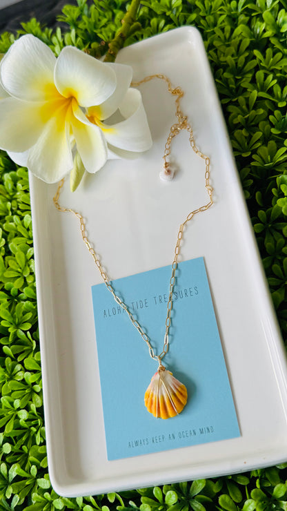 14K GF Sunrise Shell Necklace 18” - Sara