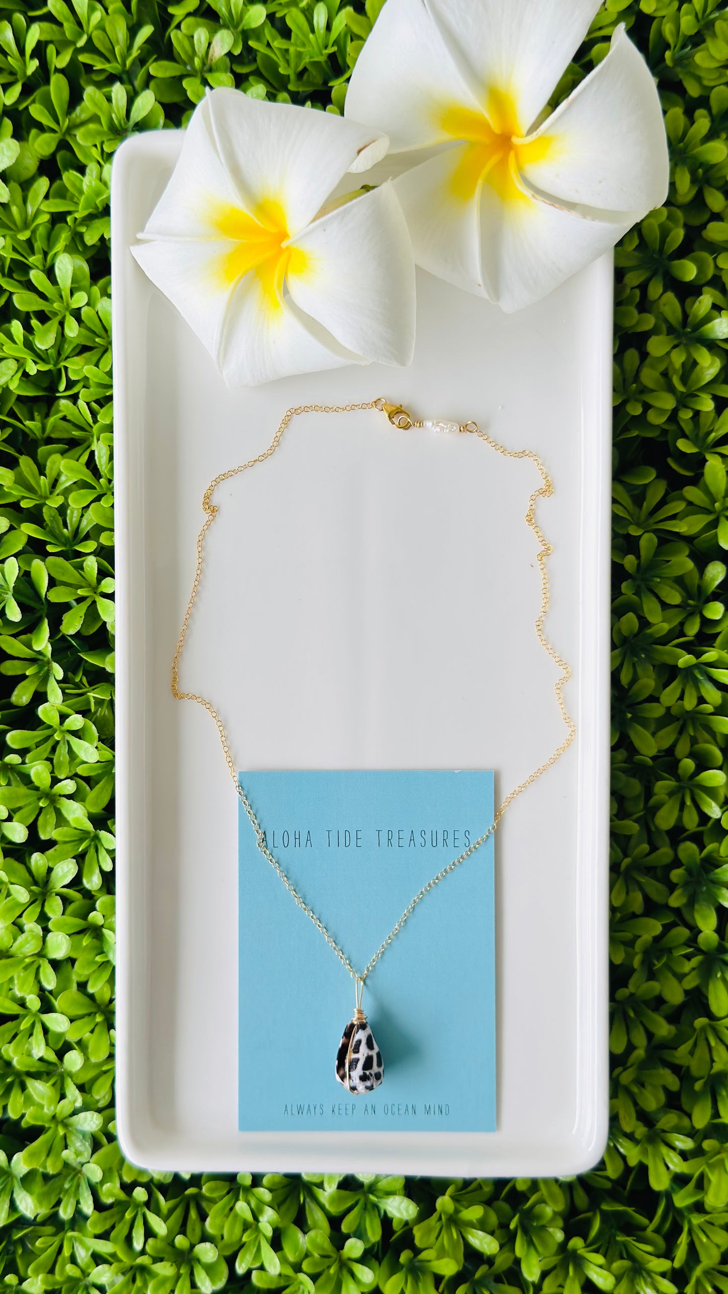 14K GF Hebrew Shell Necklace 16”