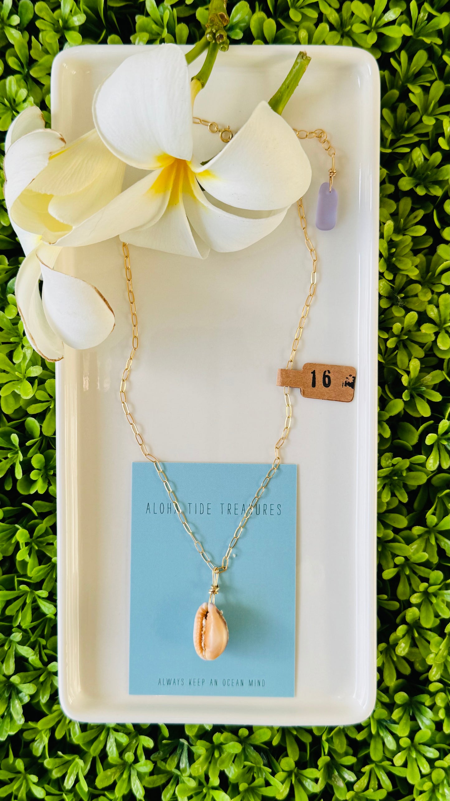 14K GF Cowrie Shell Necklace 16”