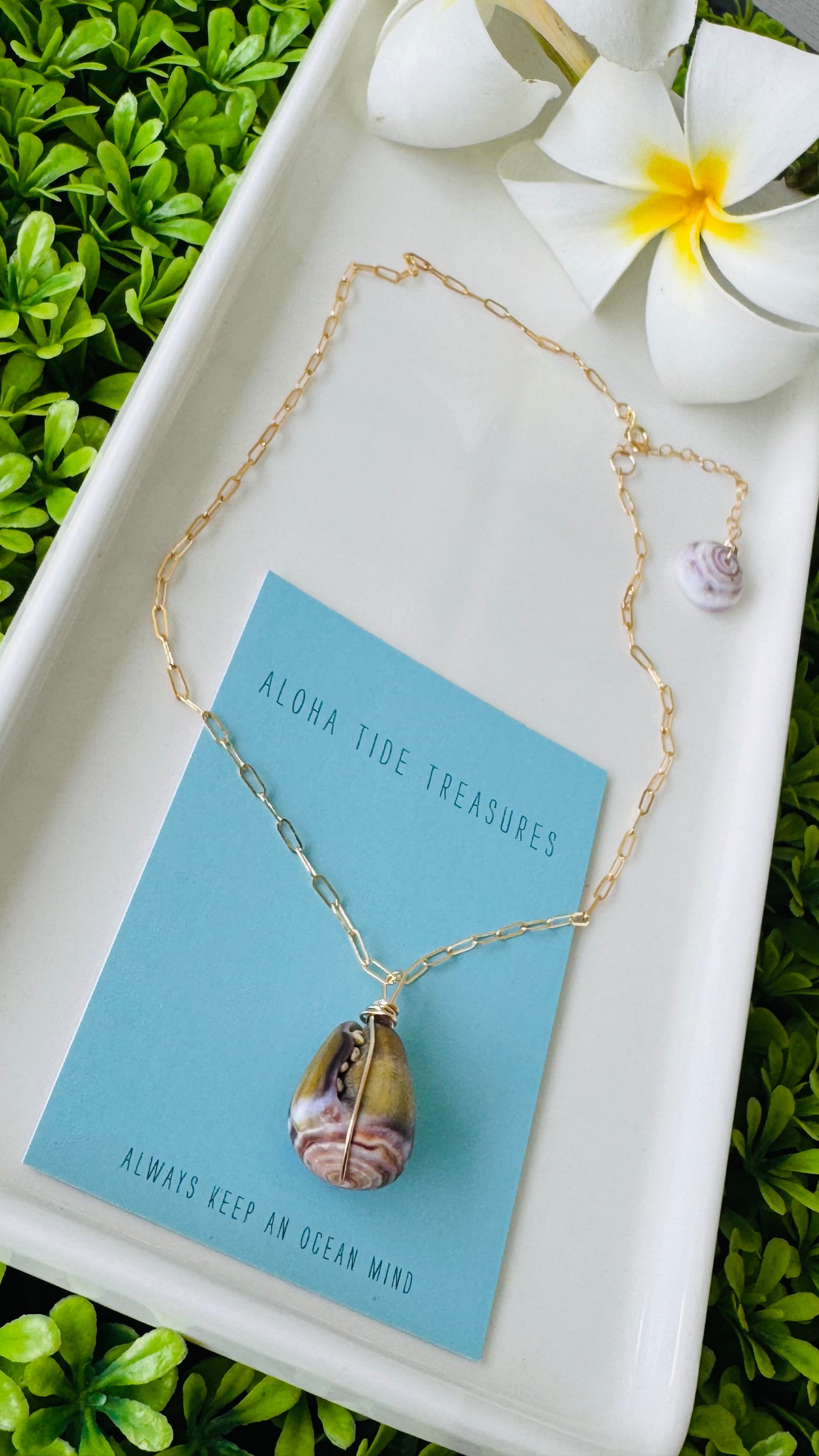 14K GF Cone Shell Necklace 14” - Analyse