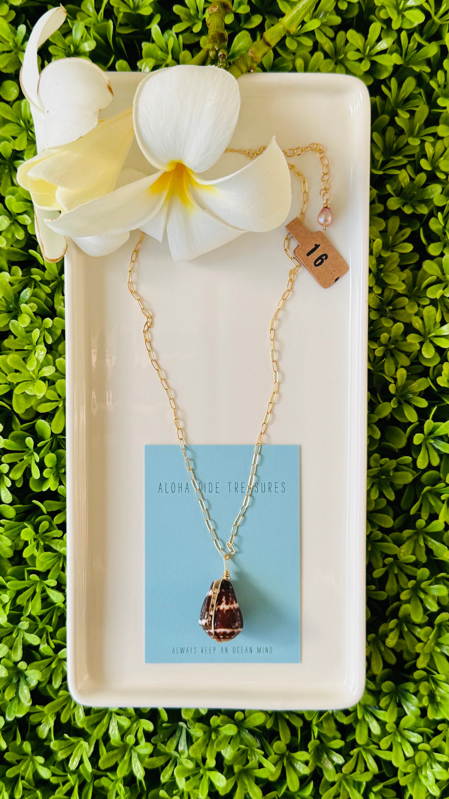 14K GF Chaldean Cone Shell Necklace 16”