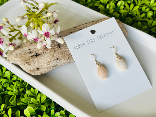 14K GF Granulated Cowrie Shell Earrings