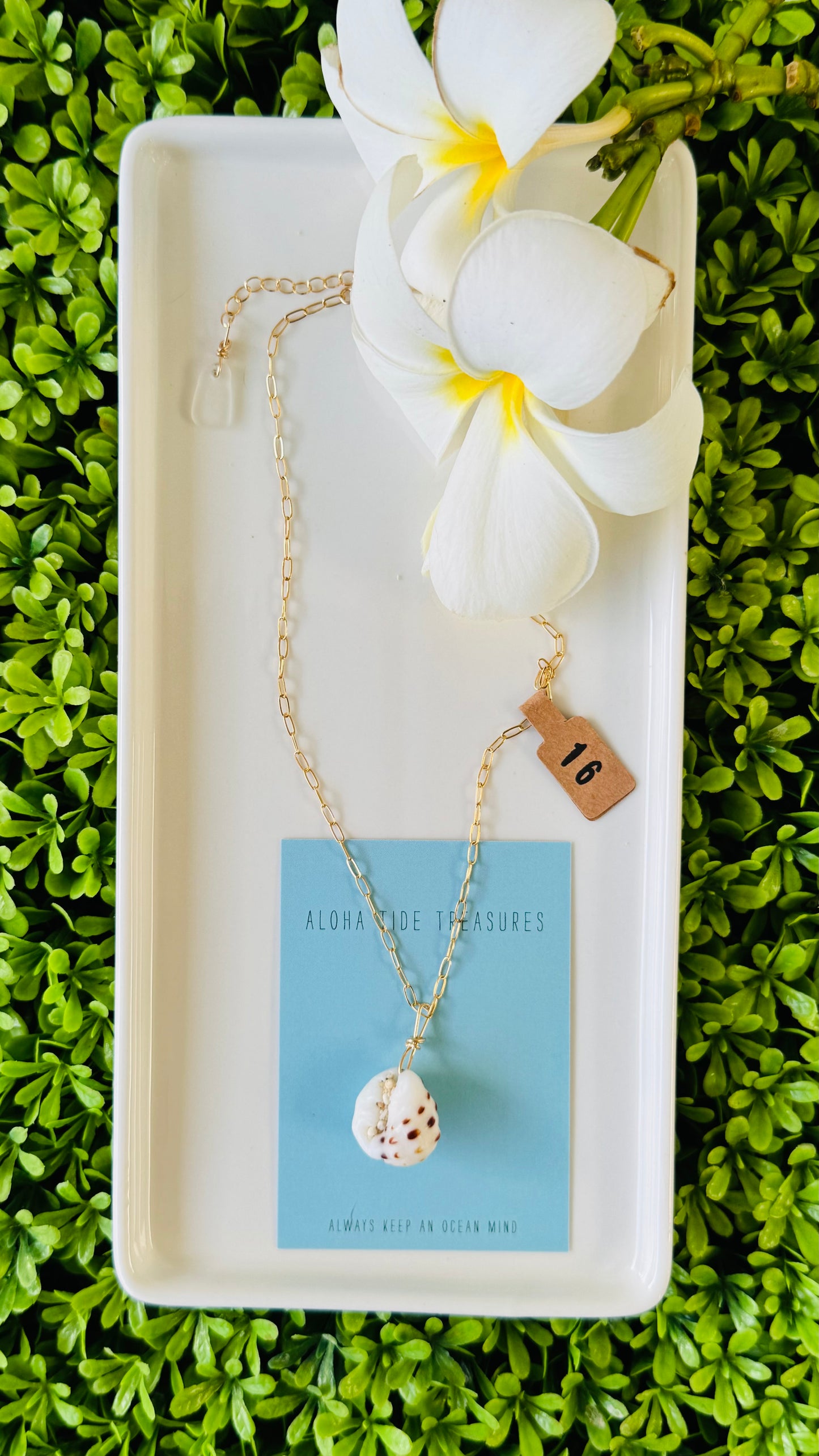 14K GF Drupe Shell Necklace 16”