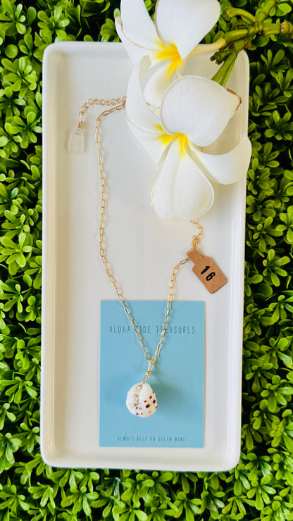 14K GF Drupe Shell Necklace 16”