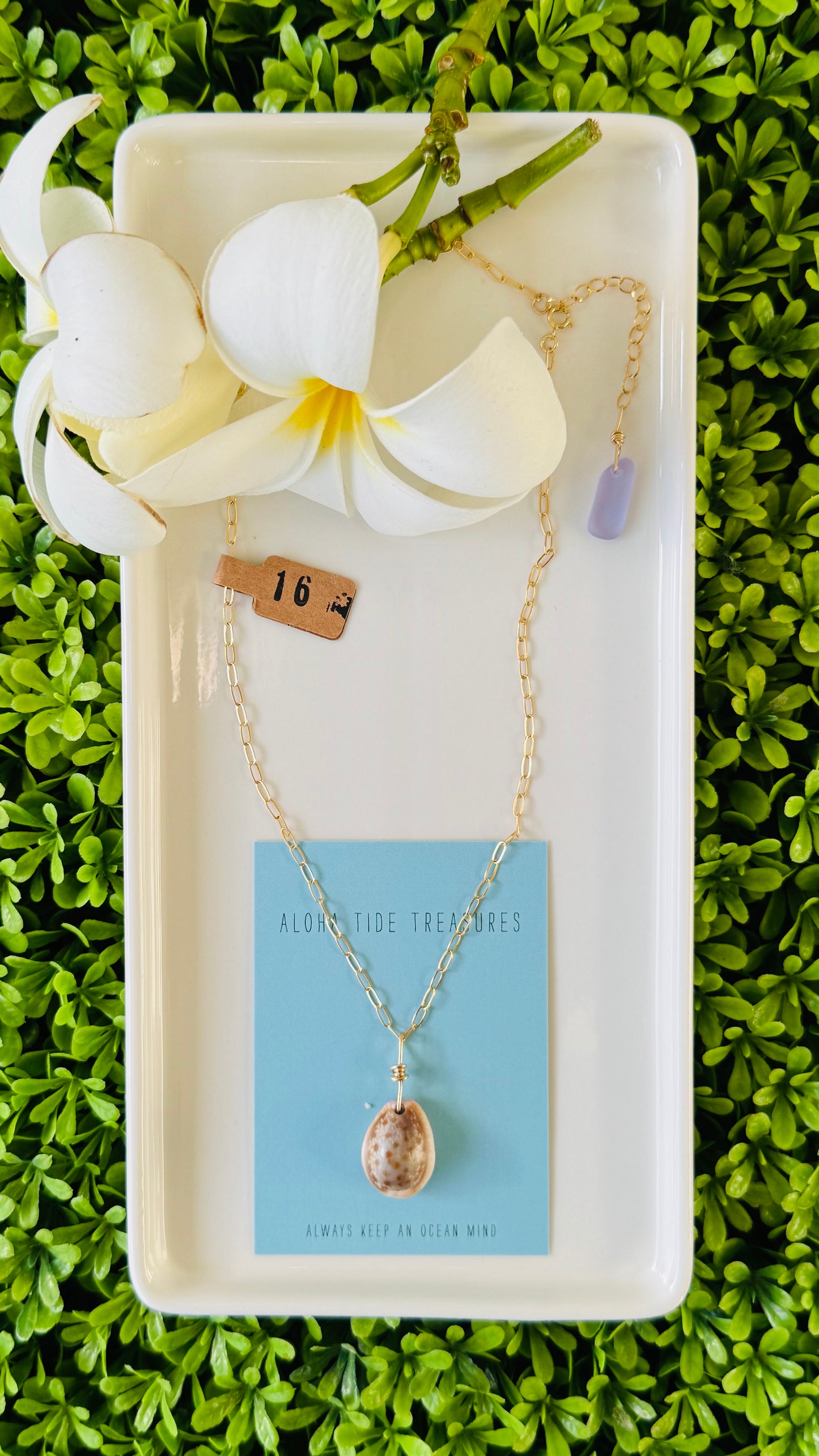 14K GF Cowrie Shell Necklace 16”