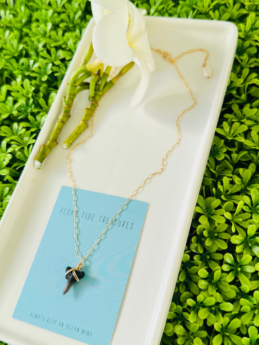 14K GF Shark Tooth Necklace 16” - Karla
