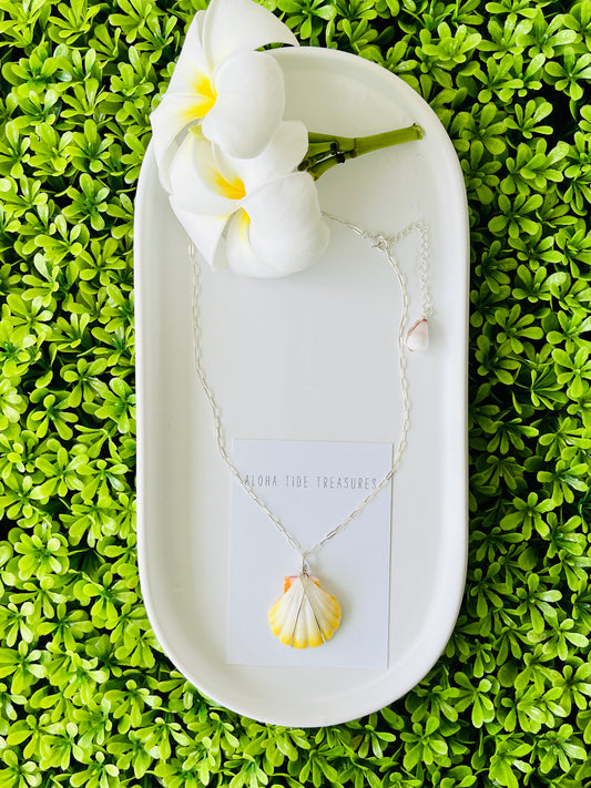 Sterling Silver Albino Sunrise Shell Necklace 14” - Francis