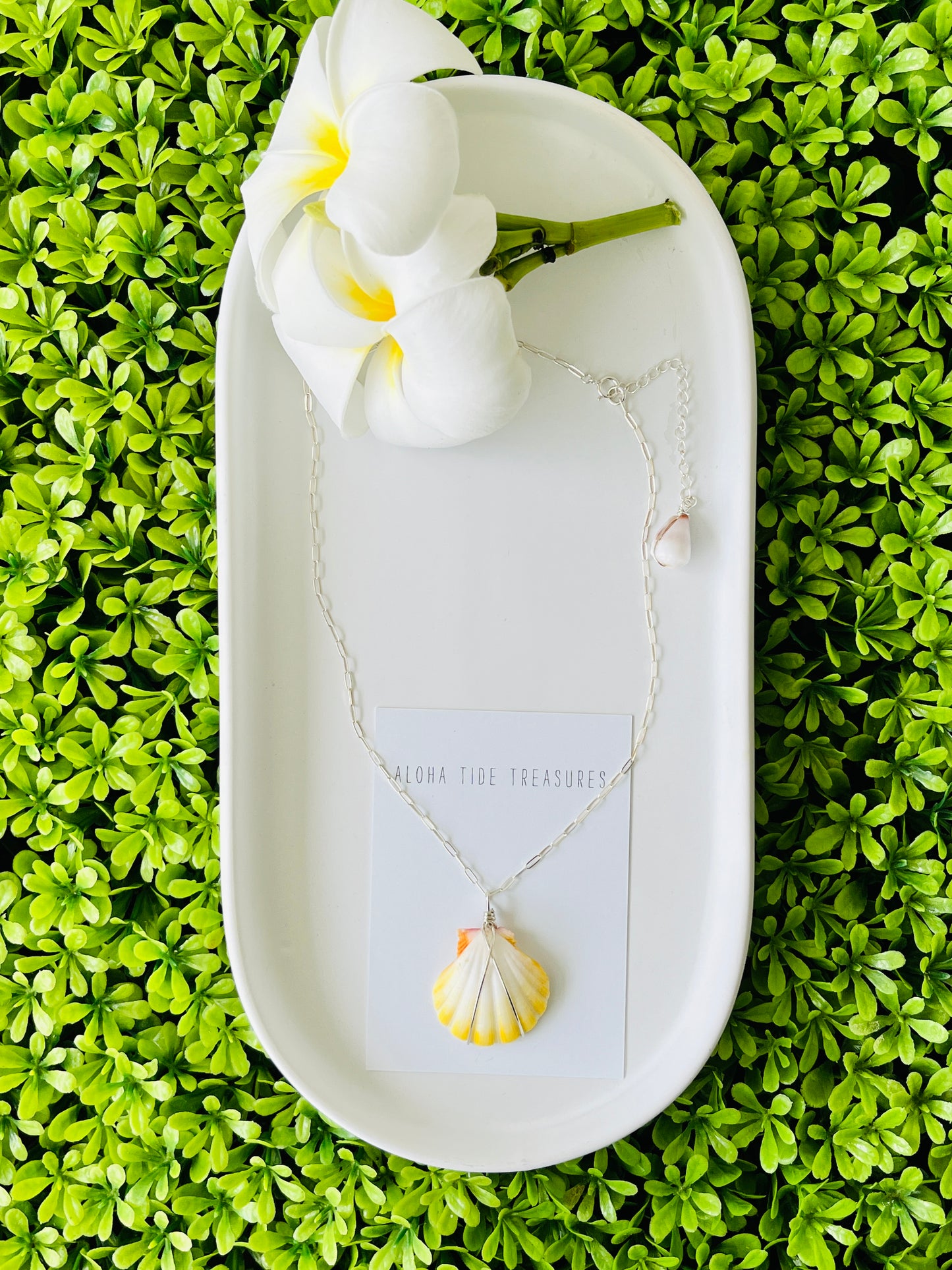 Sterling Silver Albino Sunrise Shell Necklace 14” - Francis