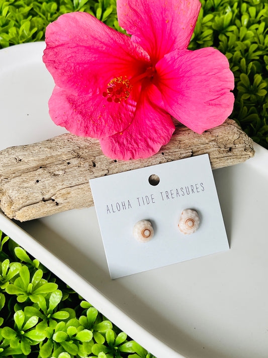 Sterling Silver Puka Shell Earring Studs