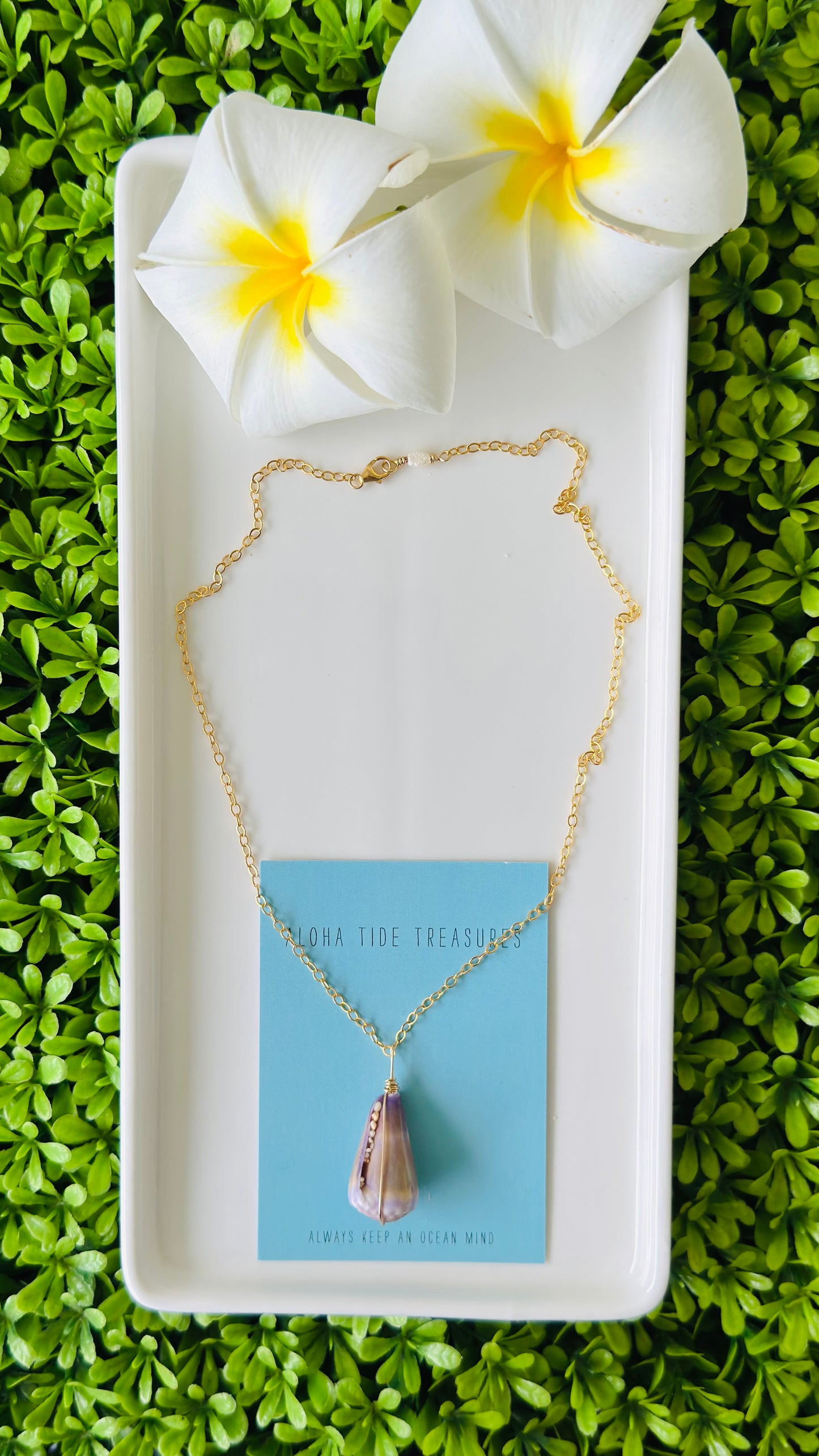14K GF Cone Shell Necklace 16”