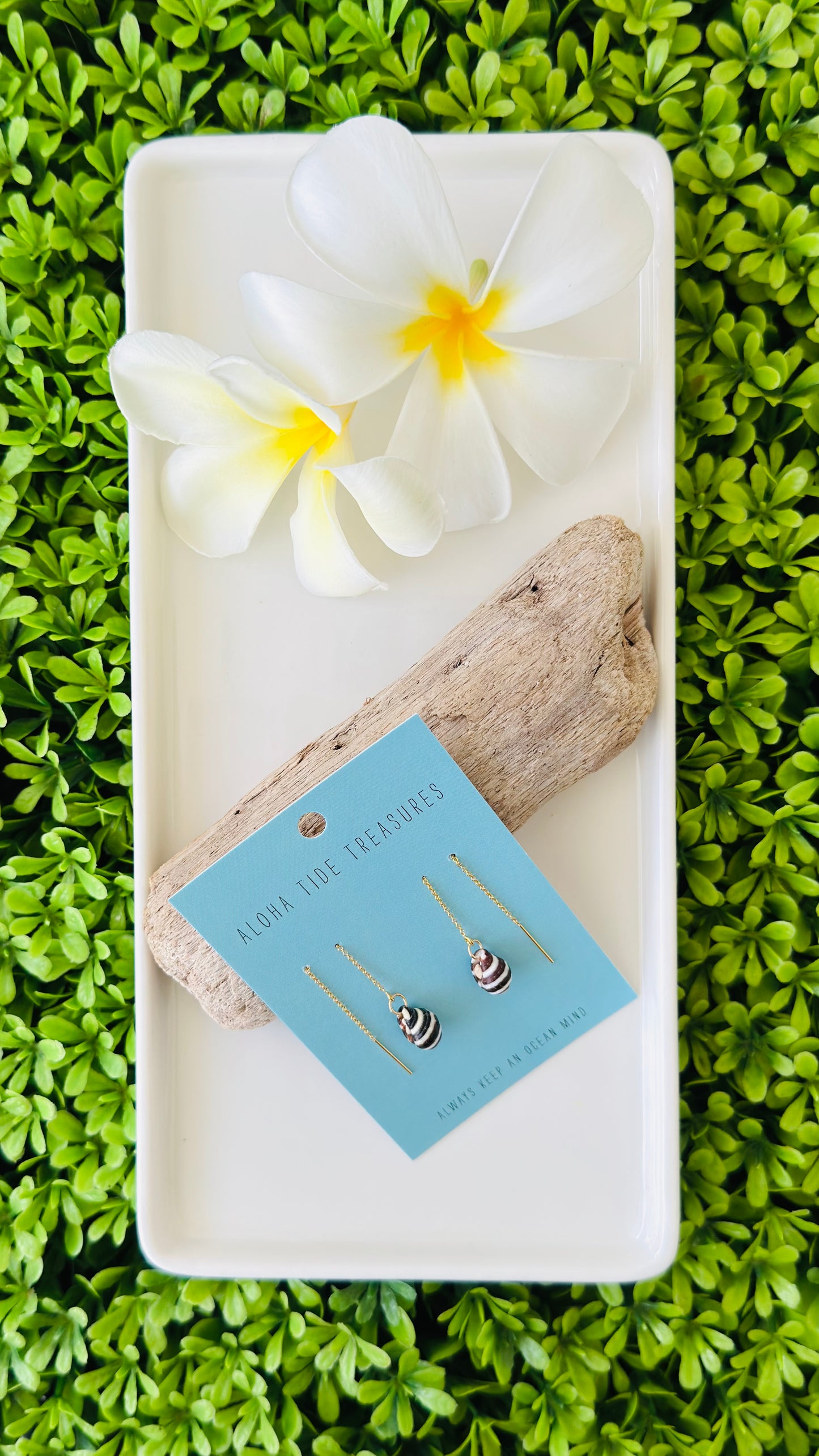 14K GF Zebra Threader Earrings