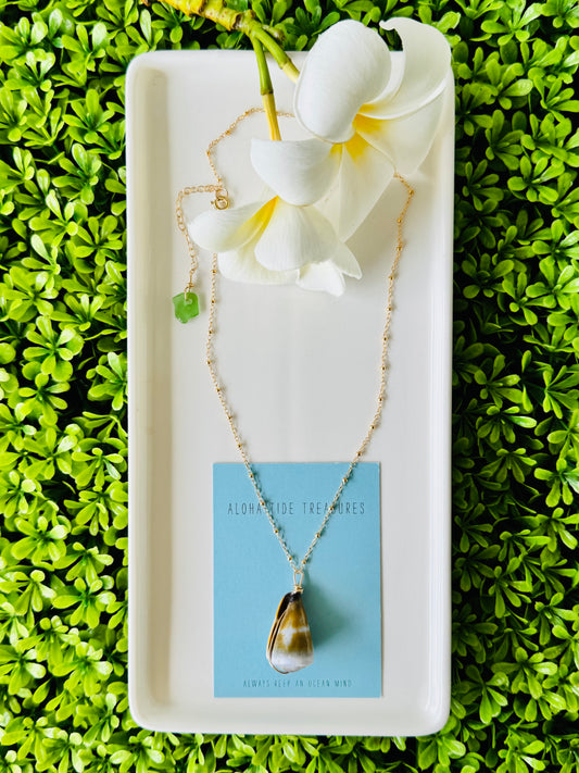 14K GF Cone Shell Necklace 16” - Lauren