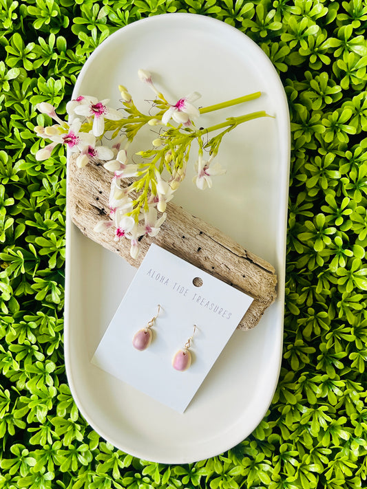 14K GF Cowrie Shell Earrings