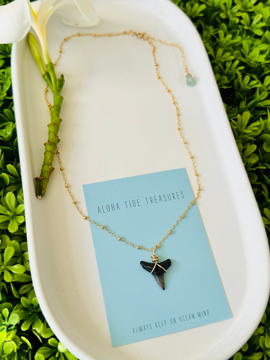 14K GF Shark Tooth Necklace 16”