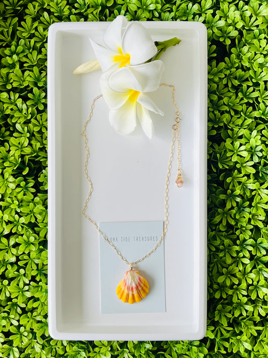 14K GF Sunrise Shell Necklace 18” - Aubree