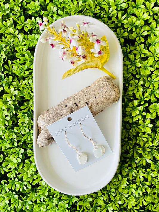 14K GF Sea Glass Shell Earrings