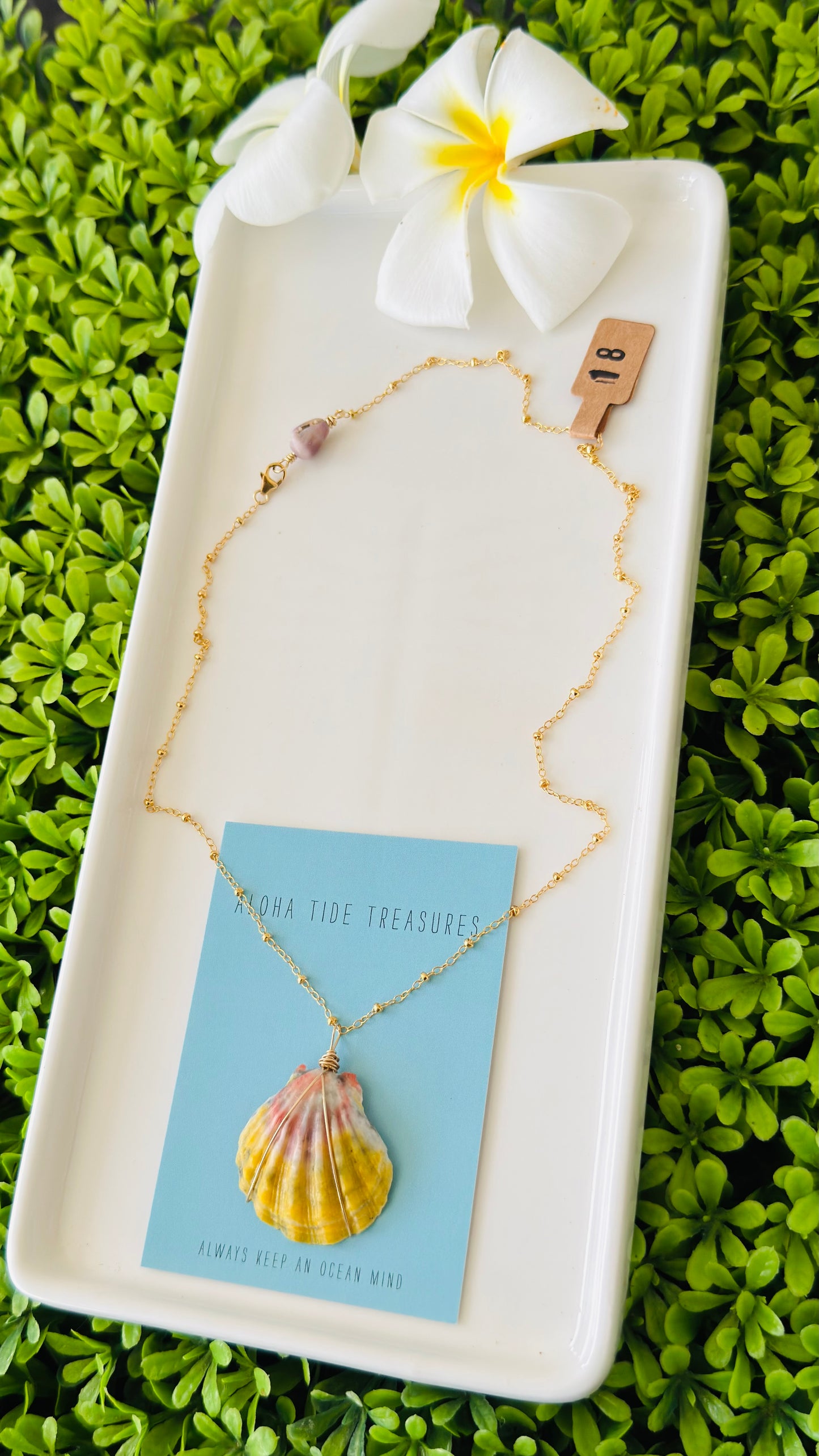14K GF Sunrise Shell Necklace 18”